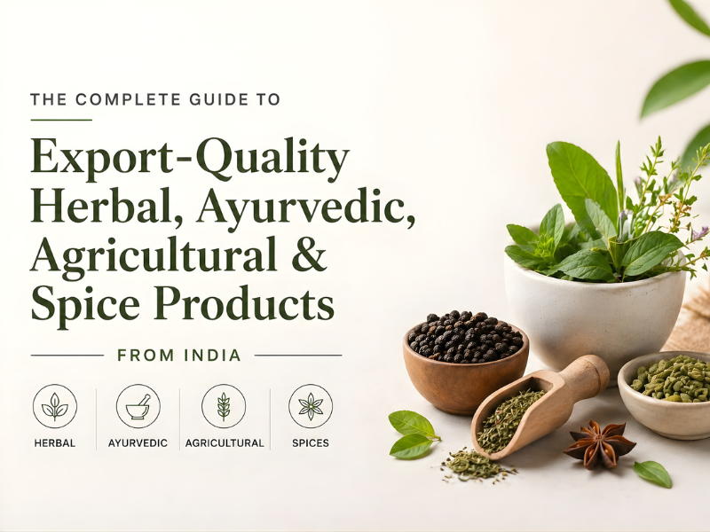 Guide to Export