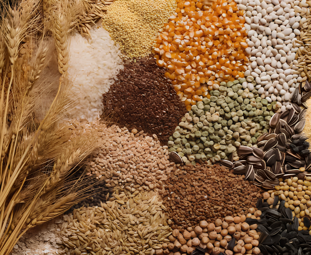 agriculture product