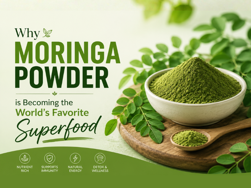 moringa powder supplier in india